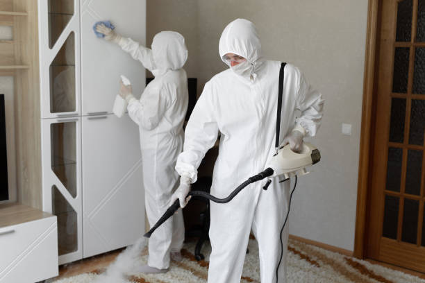 Best HVAC Mold Remediation in Martsville, IN