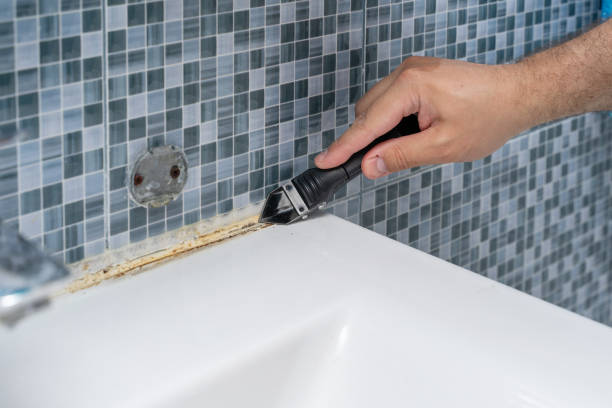 Reliable Martinsville, IN Mold Remediation Solutions