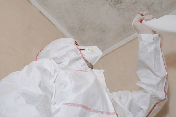 Best Residential Mold Remediation in Martsville, IN