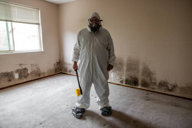 Best Emergency Mold Remediation in Martsville, IN