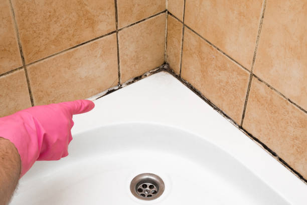 Best DIY Mold Remediation Support Services in Martsville, IN